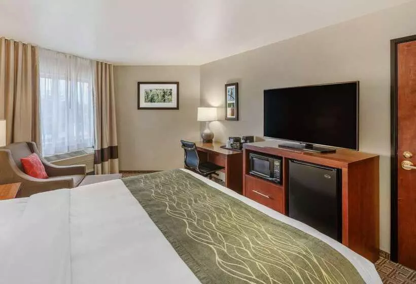 هتل Comfort Inn University