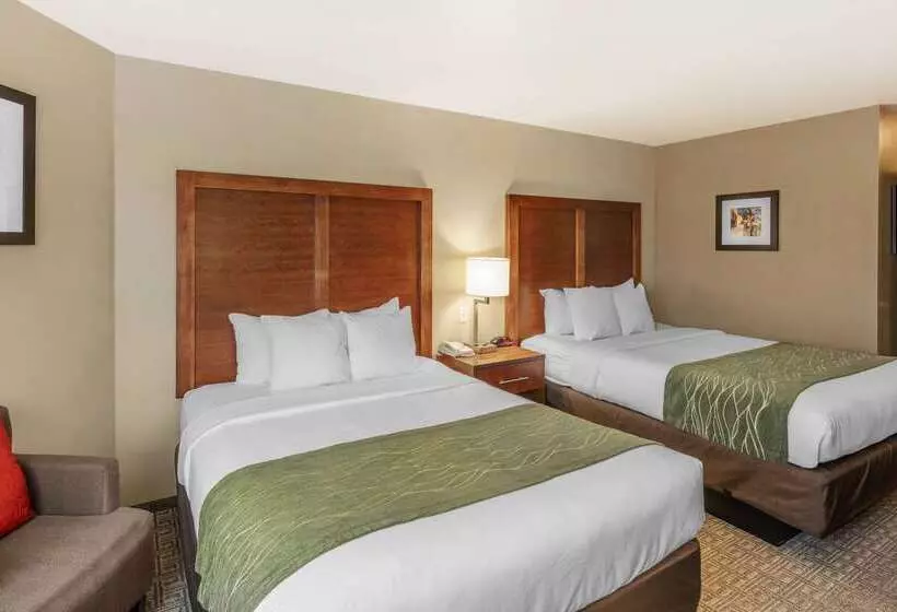 هتل Comfort Inn University