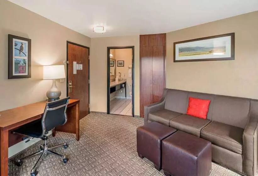 هتل Comfort Inn University