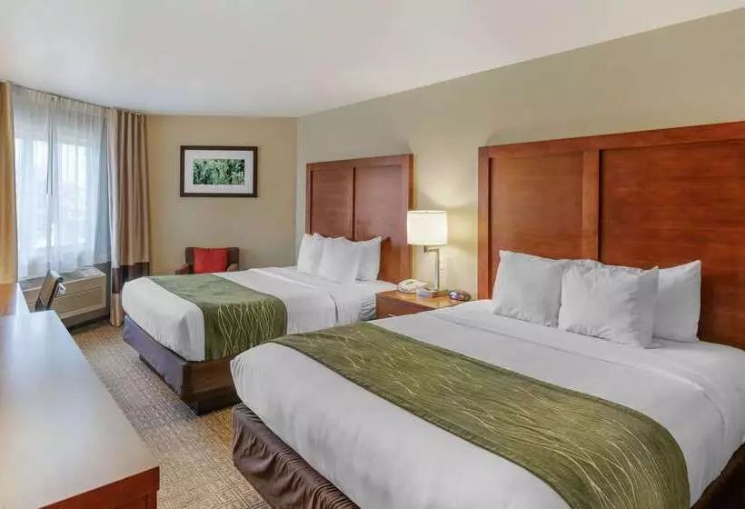 هتل Comfort Inn University