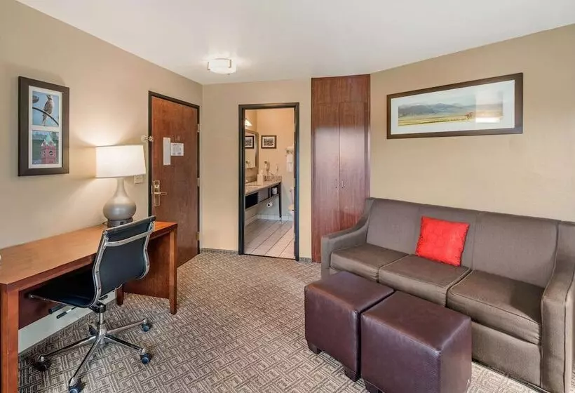 هتل Comfort Inn University