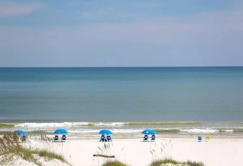 فندق Guy Harvey Resort On Saint Augustine Beach