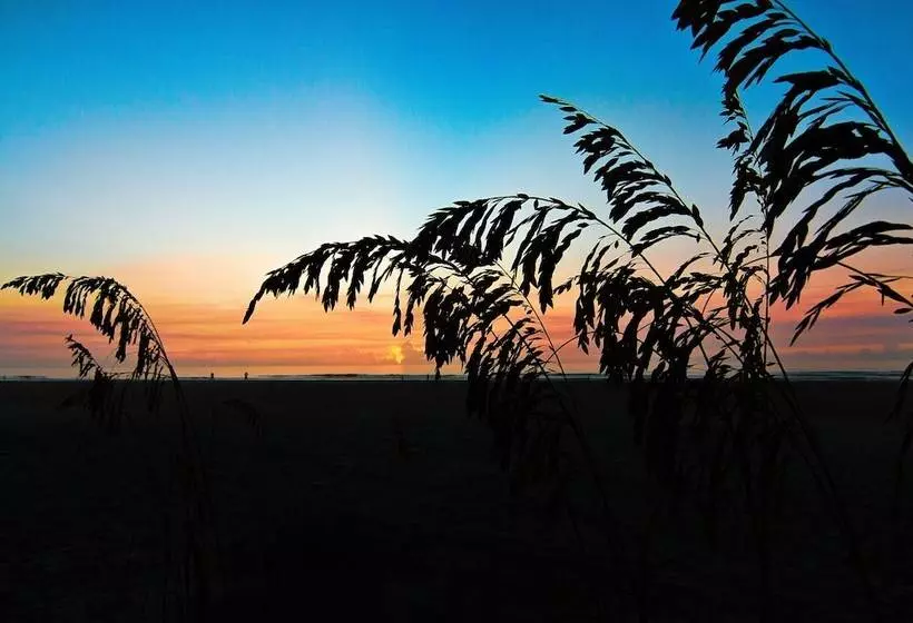 فندق Guy Harvey Resort On Saint Augustine Beach