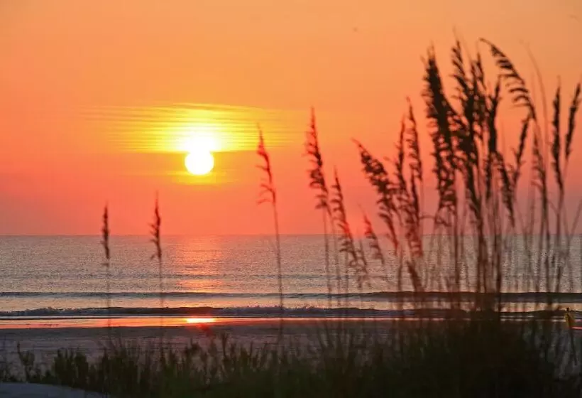 فندق Guy Harvey Resort On Saint Augustine Beach