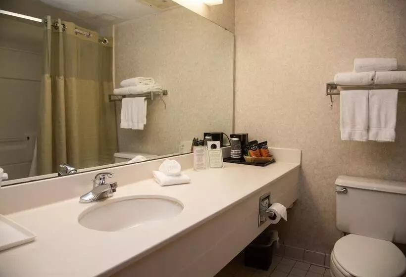 Отель Holiday Lodge And Conference Center