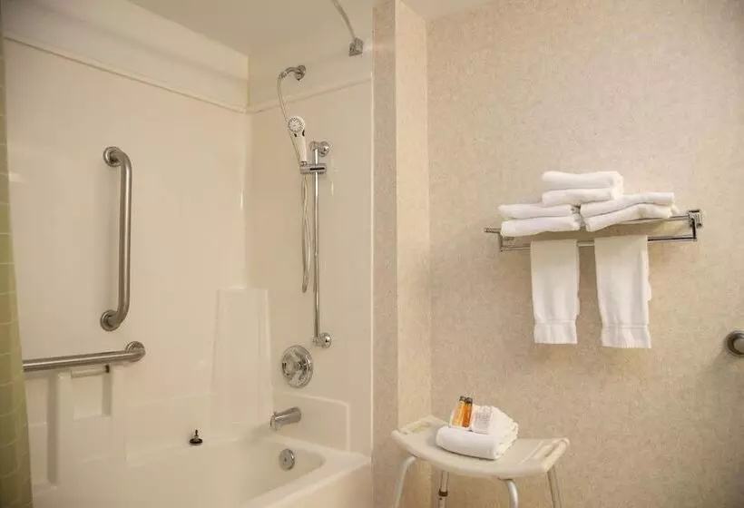 Отель Holiday Lodge And Conference Center