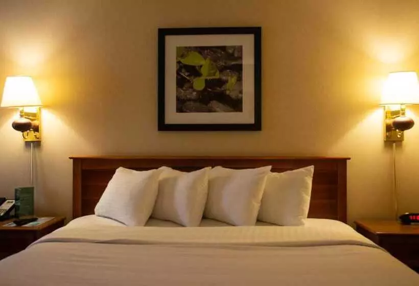 Отель Holiday Lodge And Conference Center