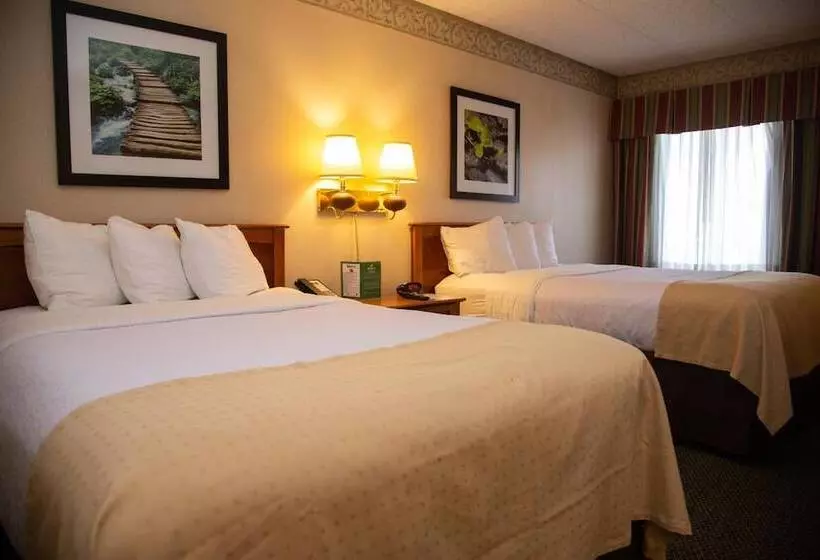 Отель Holiday Lodge And Conference Center