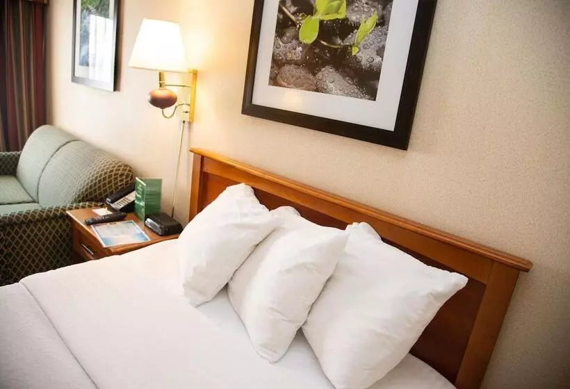 Отель Holiday Lodge And Conference Center