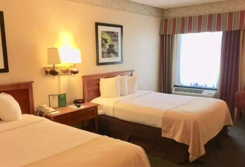 Отель Holiday Lodge And Conference Center