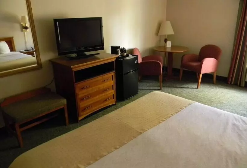 Отель Holiday Lodge And Conference Center