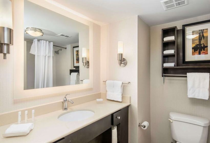 Hotel Homewood Suites By Hilton Austinsouth/airport