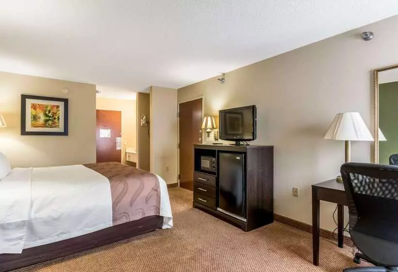 酒店 Quality Inn & Suites Clemmons I40