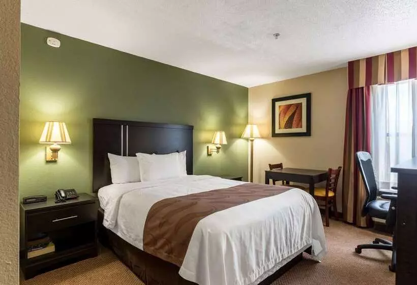 酒店 Quality Inn & Suites Clemmons I40