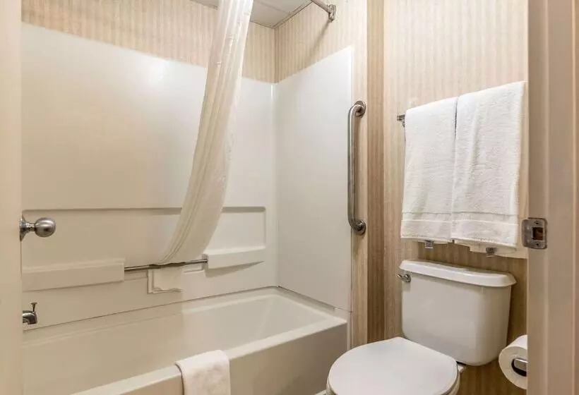 酒店 Quality Inn & Suites Clemmons I40