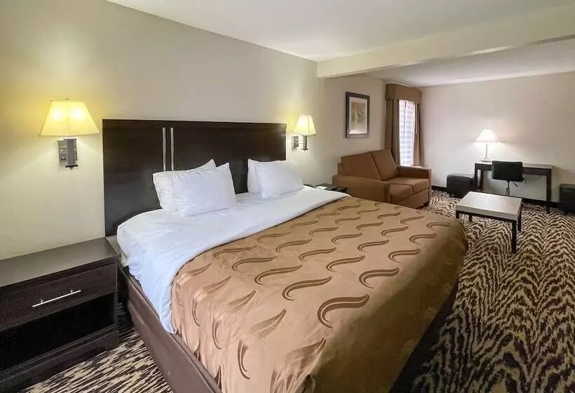 酒店 Quality Inn & Suites Clemmons I40