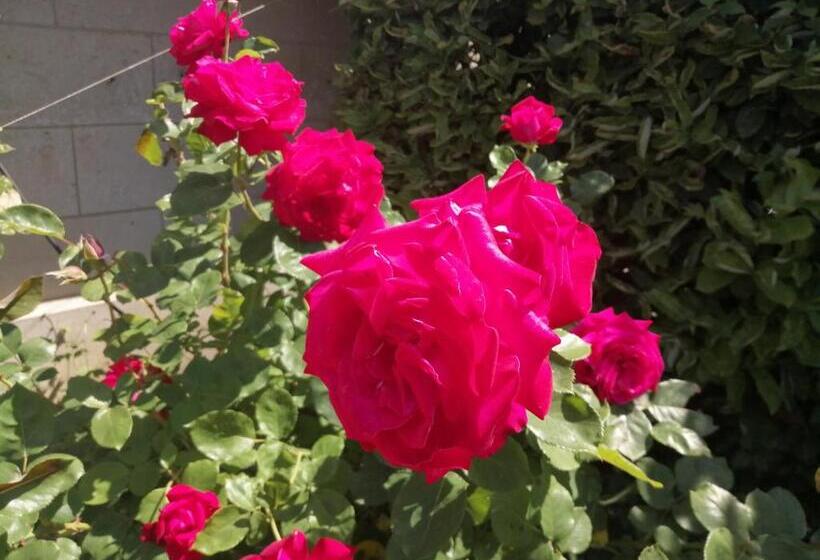 住宿加早餐  Ma Gentilhommière