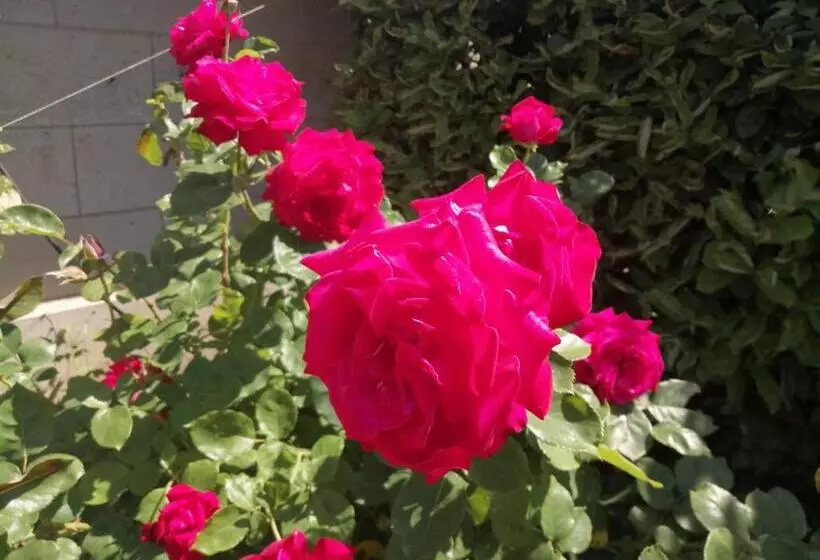 Aamiaismajoitus (B&B) Ma Gentilhommière