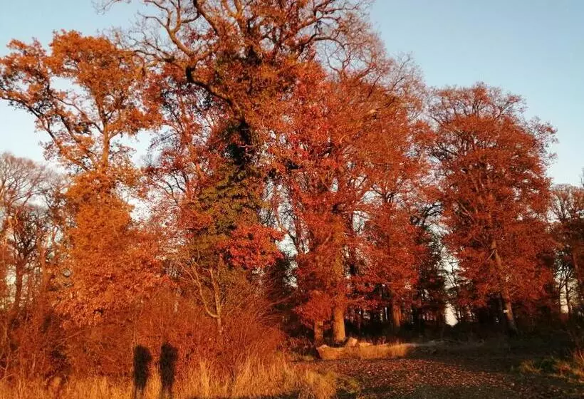 Aamiaismajoitus (B&B) Ma Gentilhommière