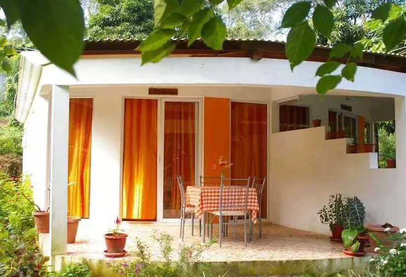 Oasis Nature Lodge