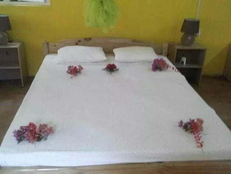 Oasis Nature Lodge