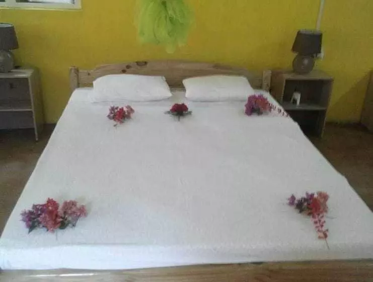 Oasis Nature Lodge