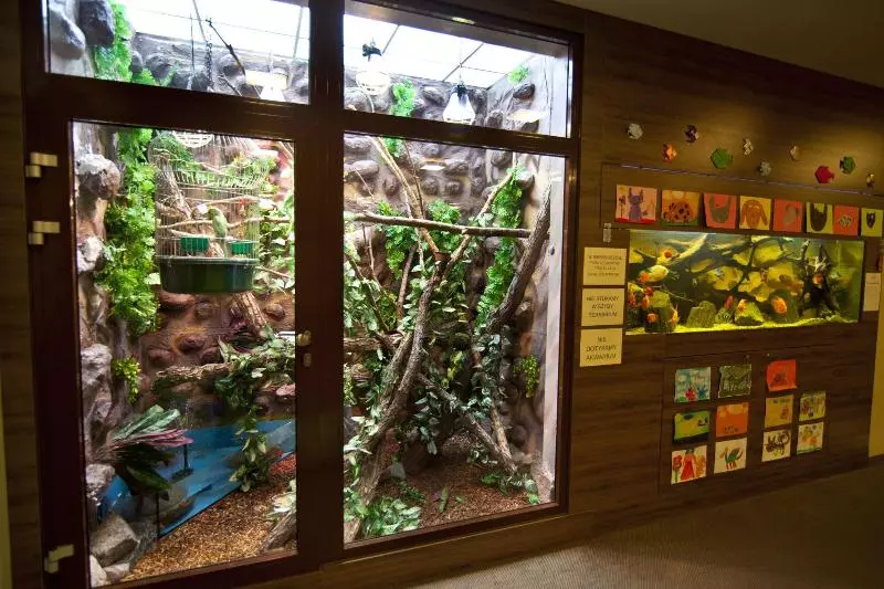 Hotelli Imperiall Resort & Medispa