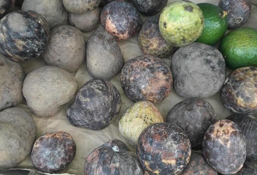 پانسیون Castle Da Rest A Sprinkle Of Peace