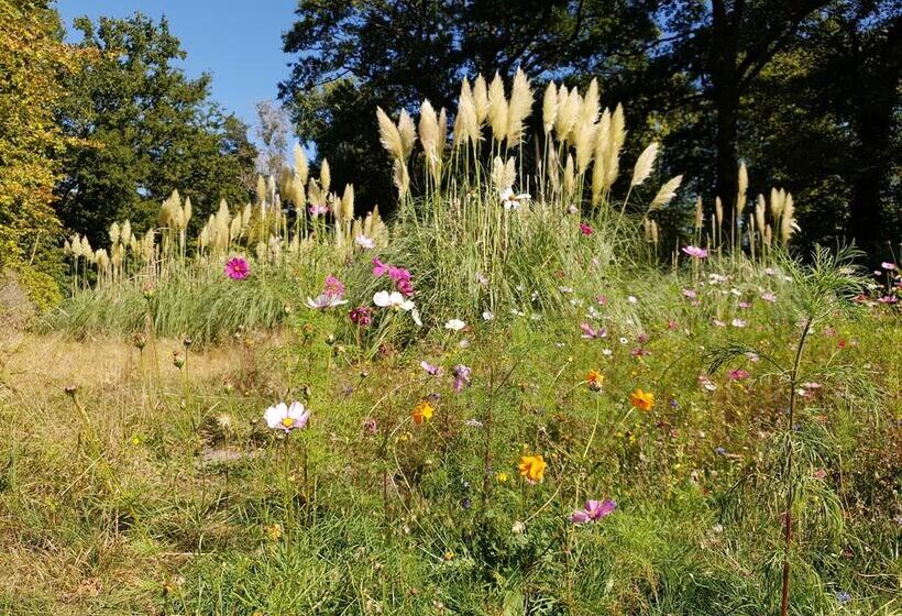 بنسيون Domaine Les Bruyères