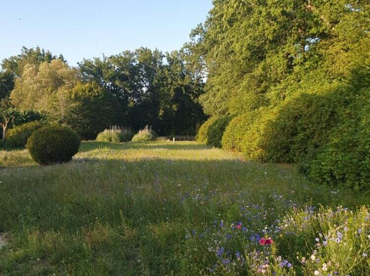 بنسيون Domaine Les Bruyères