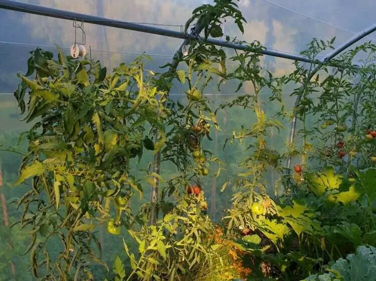 Majatalo Domaine Les Bruyères