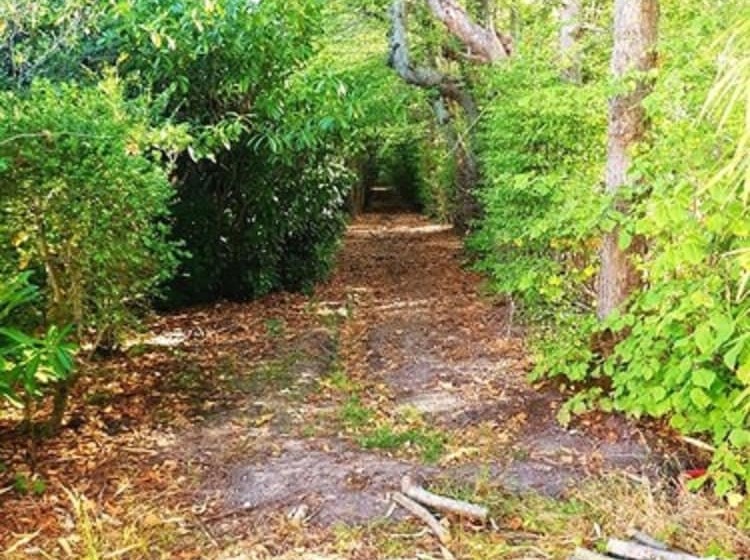 بنسيون Domaine Les Bruyères