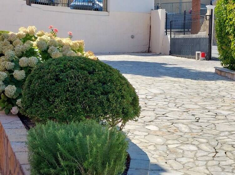 Cha Nanakas Village Inn