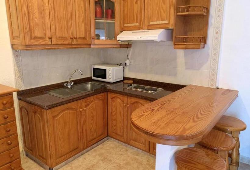 Exceptional Studio In Frontera | 25 Sqm | Terrace