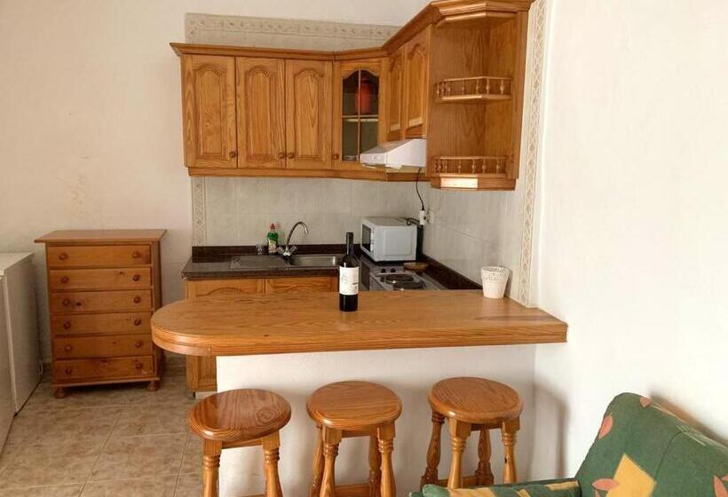 Exceptional Studio In Frontera | 25 Sqm | Terrace