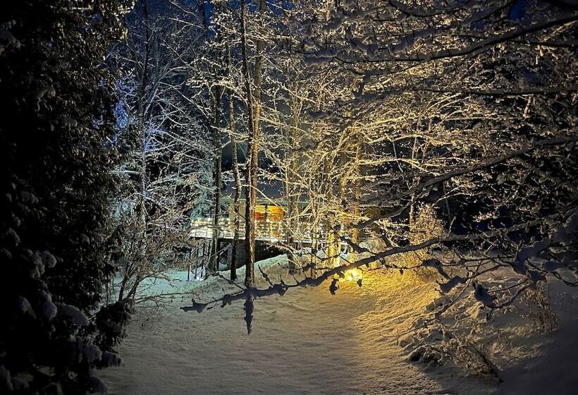 Hauser S Bayfield Cabin