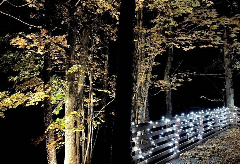 Hauser S Bayfield Cabin