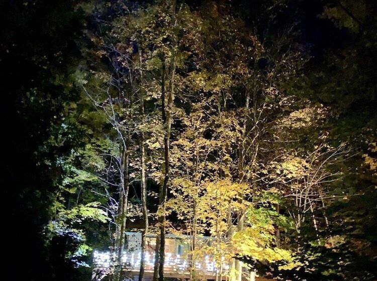 Hauser S Bayfield Cabin