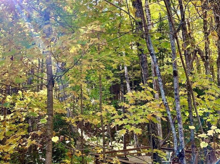 Hauser S Bayfield Cabin