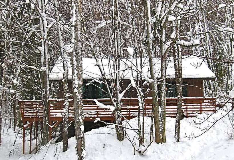 Hauser S Bayfield Cabin