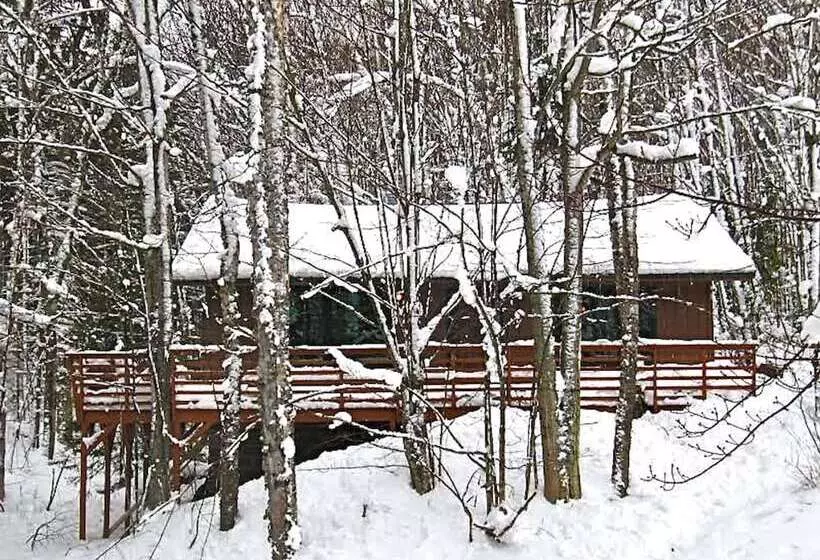 Hauser S Bayfield Cabin