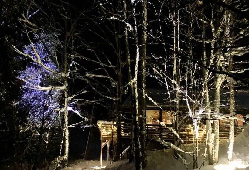 Hauser S Bayfield Cabin