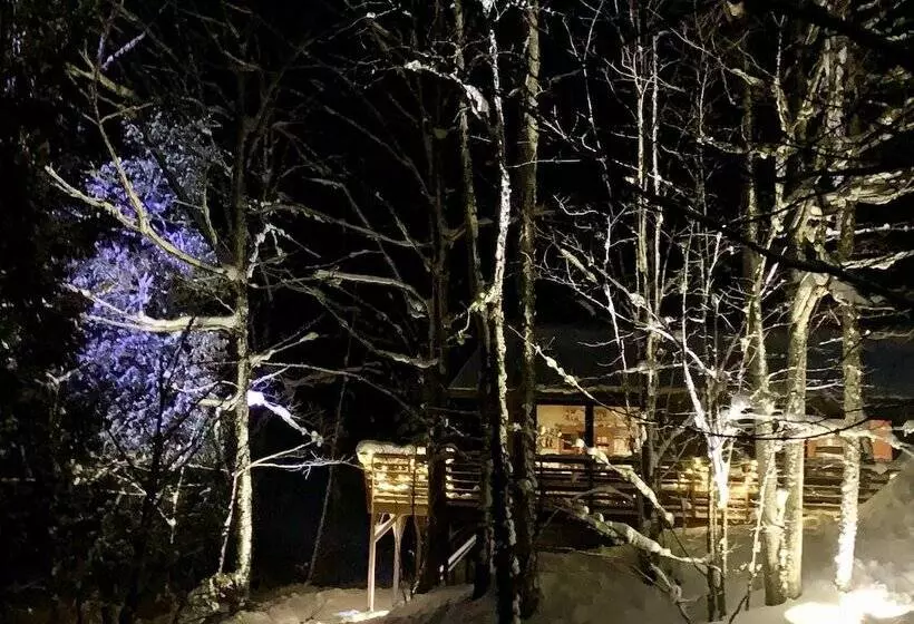 Hauser S Bayfield Cabin