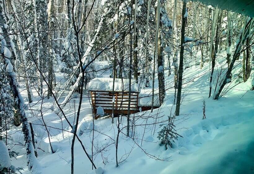 Hauser S Bayfield Cabin