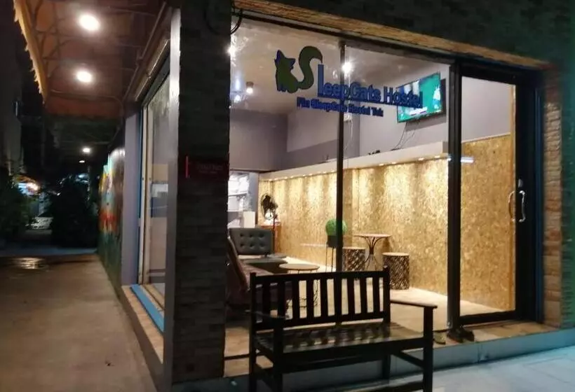 هتل Sleepcats Hostel