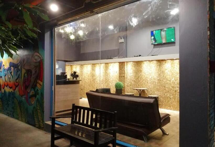 هتل Sleepcats Hostel