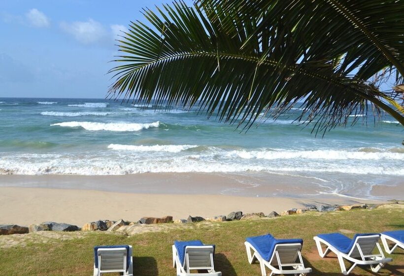 ホテル South Beach Resort