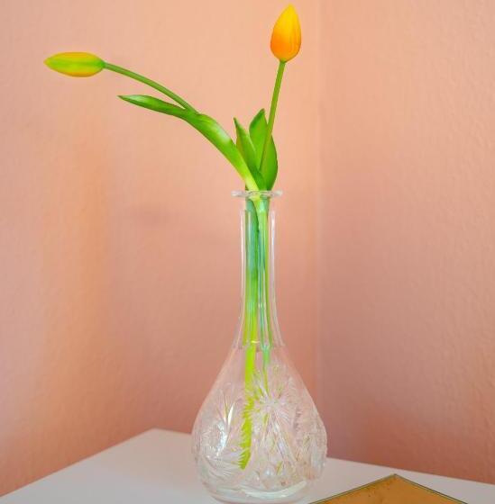 膳宿费 Träumerei