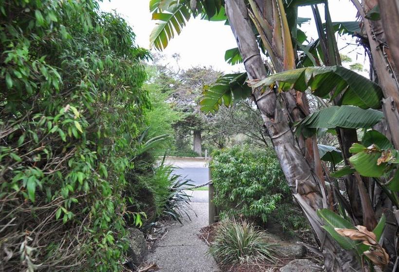 The Sails 8  Linen Included  Central Location