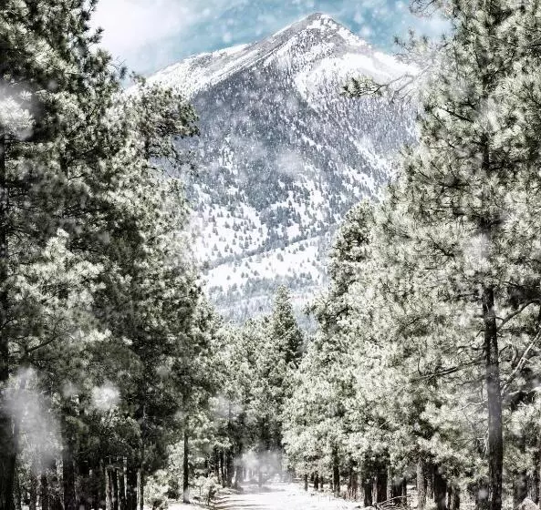 צימר Bespoke Inn Flagstaff